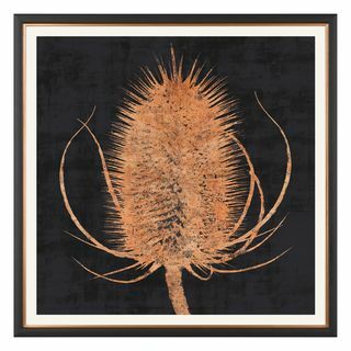 Принт Charlotte Oakley Copper Teasel