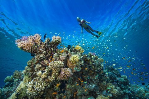 Египет, Красное море, Хургада, молодая женщина с трубкой у кораллового рифа