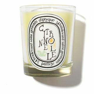 Свеча Diptyque Citronnelle Summer '22