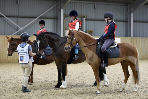 Aldi Summer Equestrian - уроки верховой езды