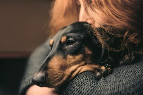 Портрет рыжеволосой женщины, которая обнимает сонную черную собаку, герцогиню.