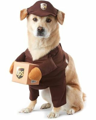 UPS Pet Костюм 