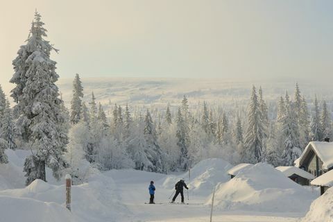 Кататься на лыжах на улице