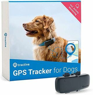 GPS-трекер Tractive для собак